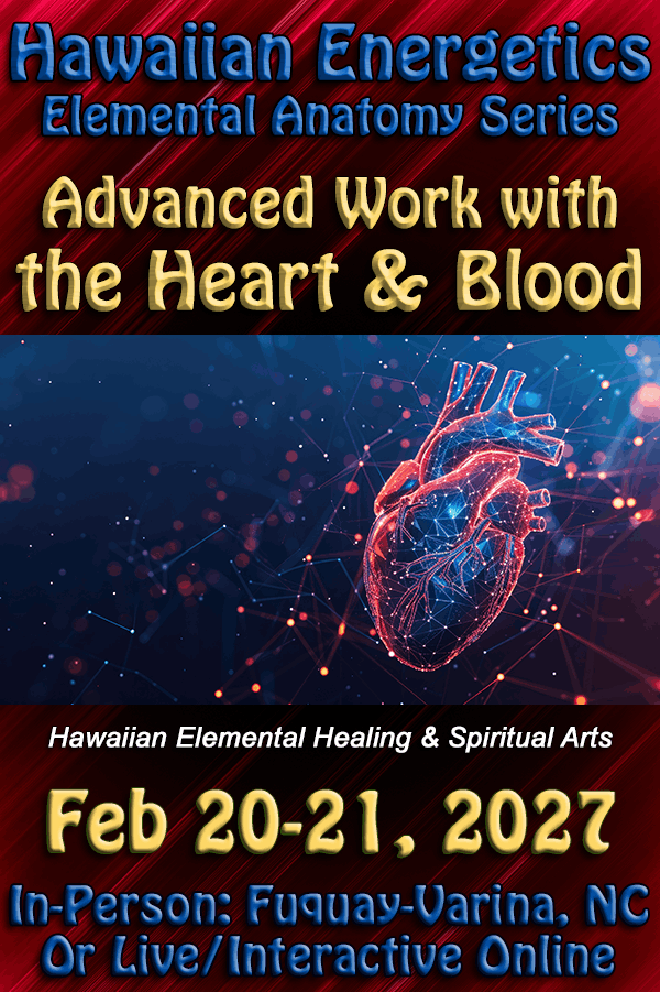 Workshop - Advanced Work with Heart & Blood